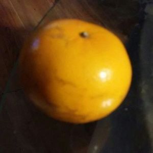 Meet your Posher, Della